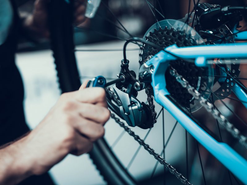 Great Big Green Week – embracing sustainability