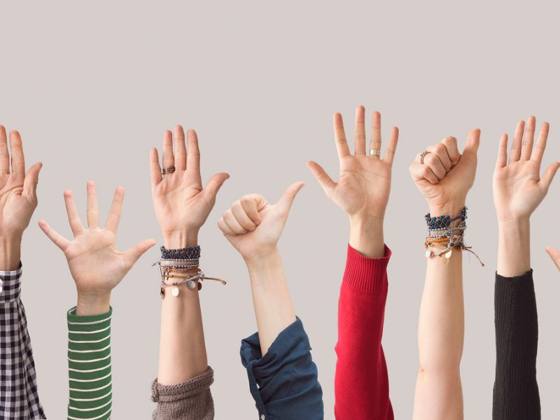 Travel Survey Results