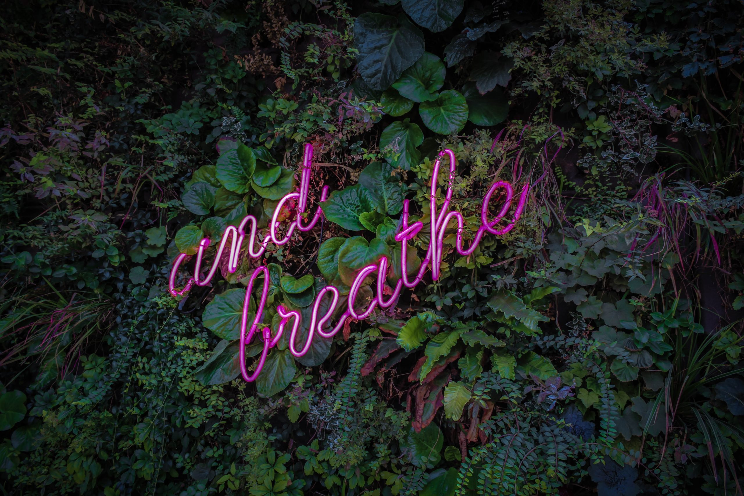 A leafy green background with a pink neon sign reading 'and breathe'