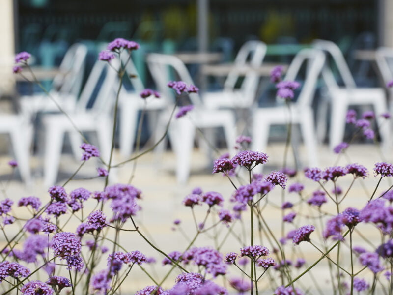 Five Ways Wellington Place is Committed to Being a Sustainable Office Development