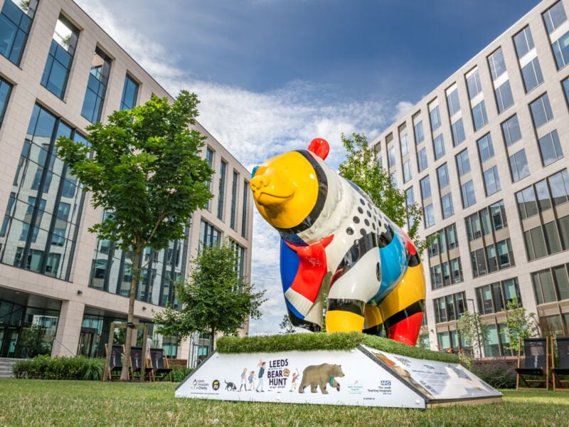 Leeds Bear Hunt